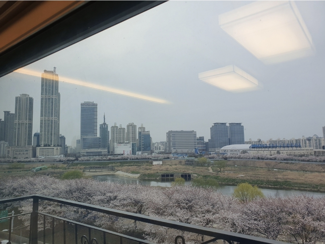 매물 사진 13