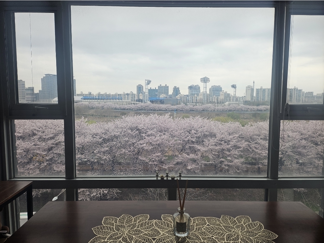 매물 사진 5